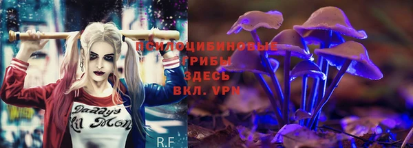 не бодяженный Алексин