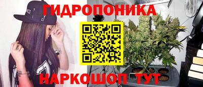 СК Анапа