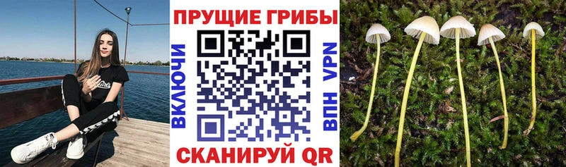 Галлюциногенные грибы мухоморы  Ачинск 