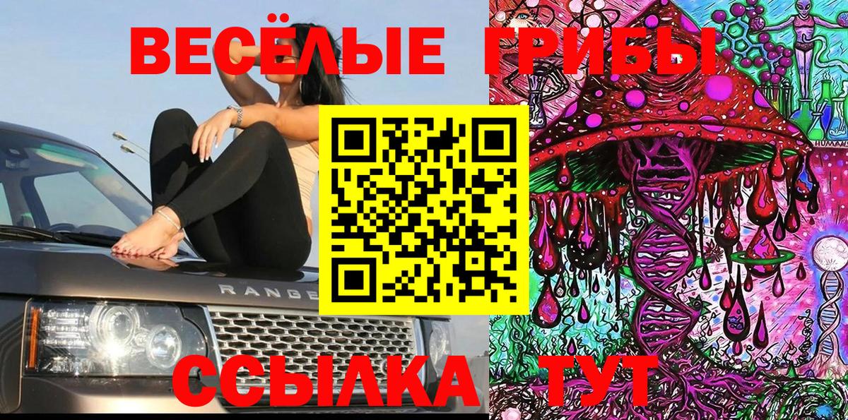 Галлюциногенные грибы Cubensis Ачинск