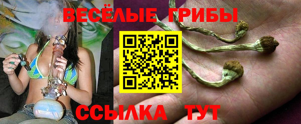 Галлюциногенные грибы Cubensis  цена   Ачинск  Вход с VPN 